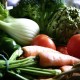 Is a vegetarian diet really healthy?